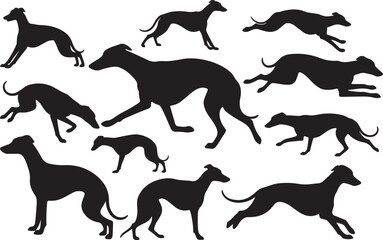 Whippet Silhouettes Vector Pack