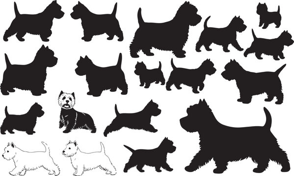 West Highland White Terrier Silhouettes Vector Pack