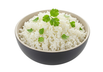 Isolated Bowl of Steamed White Rice Topped with Cilantro