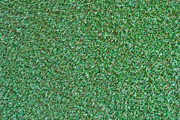 green live background with grass and objects in the interior