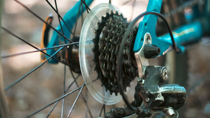 Obraz premium Bicycle tire stands in leafy woodland path during early autumn cycling trip