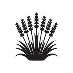 Silhouette of Lavender Flower Bush – Elegant Black Botanical Herb Illustration