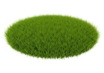 Lush Green Oval Grass Patch Isolated on White. Spring, Lawn, Meadow, Field, 3D Render