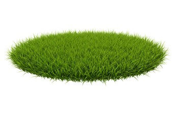 Oval Green Grass Patch on White Background, Isolated Lawn, Nature Element for Design.