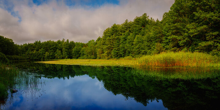 Fototapeta New England summer landscape over Lake Wintergreen in West Rock State Park, Hamden, Connecticut—a tranquil panoramic scene of water reflections, forest, white clouds, and vibrant plants.