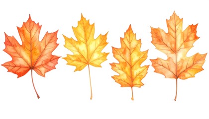 Fototapeta premium Autumn Leaves with Burnt Orange Watercolor isolated on white background. Abstract watercolor background