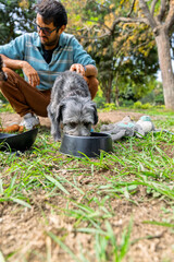 Mixed breed dog eating from bowl in park with owner watching