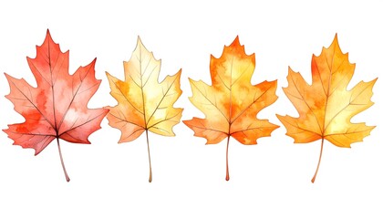 Fototapeta premium Autumn Leaves with Burnt Orange Watercolor isolated on white background. Abstract watercolor background