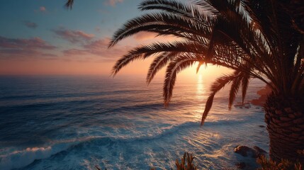 Sunset Over Ocean with Palm Tree Silhouette