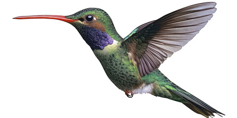 Hummingbird in Flight: Vibrant Green Feathers and Red Beak  png transparent background 