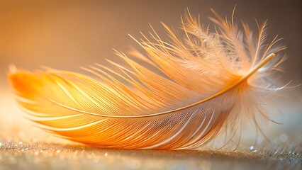 Golden Feather Close Up on Glittery Surface with Soft Lighting