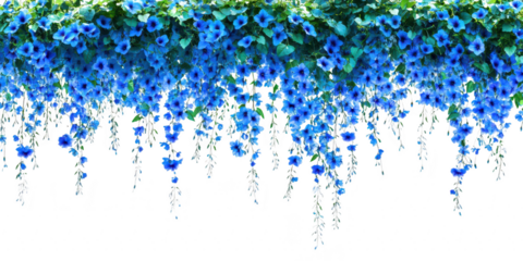 Cascading blue flowers and vines on transparent png background