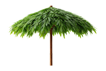 Single beach umbrella parasol made of coconut leaf isolated on white background