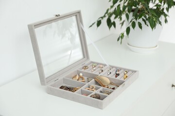 Jewelry box with many different accessories and green houseplant on white cabinet indoors, closeup