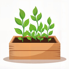 Green plants growing in wooden planter box on white background  