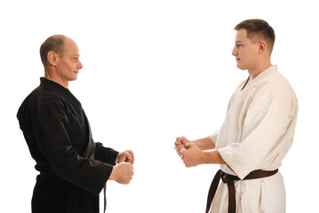Two karate masters