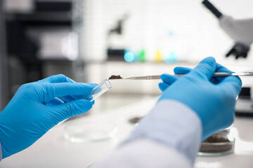 Scientist taking soil sample for research at table in laboratory, closeup