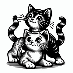 Two playful kittens cuddling