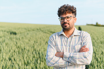 Agronomist inspecting wheat field with crossed arms