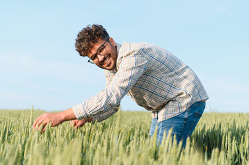 Smiling agronomist inspecting wheat crop in cultivated field
