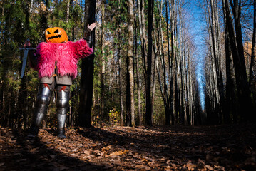 Glamour scarecrow
