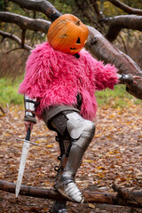 Glamour scarecrow