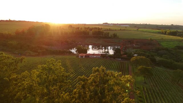 Vin&iacute;cola no Brasil vista por drone ao p&ocirc;r do sol, com lago ao lado, natureza exuberante,  vinhedo iluminados pela luz dourada. Beleza rural, clima tranquilo e paisagem cinematogr&aacute;fica