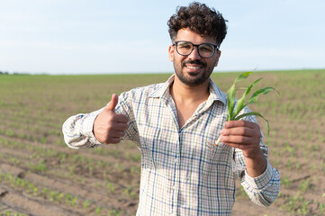 Agronomist inspecting corn crop and showing thumbs up sign in field