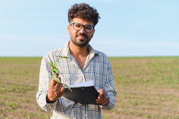 Agronomist holding corn plant and clipboard in field