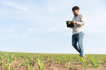 Agronomist walking and inspecting corn field with clipboard