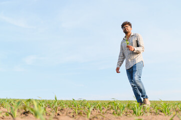 Agronomist walking and inspecting corn field with tablet