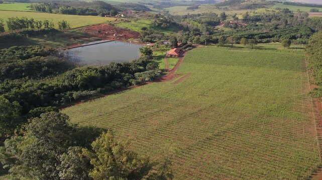 Imagens a&eacute;reas de uma vin&iacute;cola brasileira em dia ensolarado com c&eacute;u limpo, captadas por drone. Vinhedos verdes, lago sereno, natureza vibrante e ambiente rural em cen&aacute;rio t&iacute;pico do interior do Brasil.