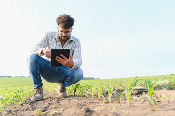 Farmer inspecting corn field with digital tablet for smart agriculture
