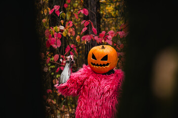 Pumpkin knight
