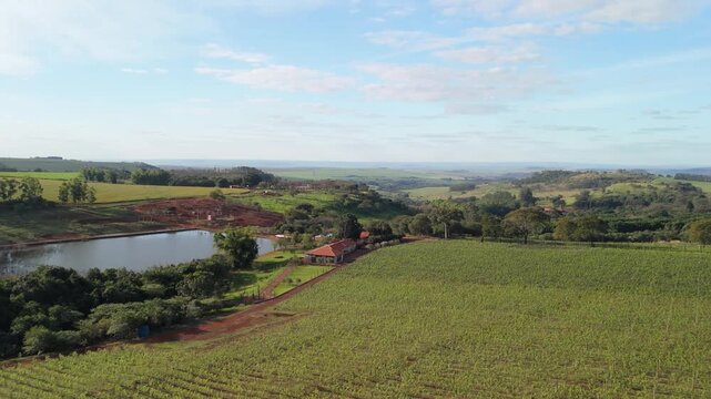 Imagens a&eacute;reas de uma vin&iacute;cola brasileira em dia ensolarado com c&eacute;u limpo, captadas por drone. Vinhedos verdes, lago sereno, natureza vibrante e ambiente rural em cen&aacute;rio t&iacute;pico do interior do Brasil.