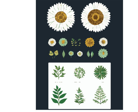 vector illustration of a flower