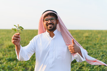 Arab farmer inspecting and approving crops in soybean field