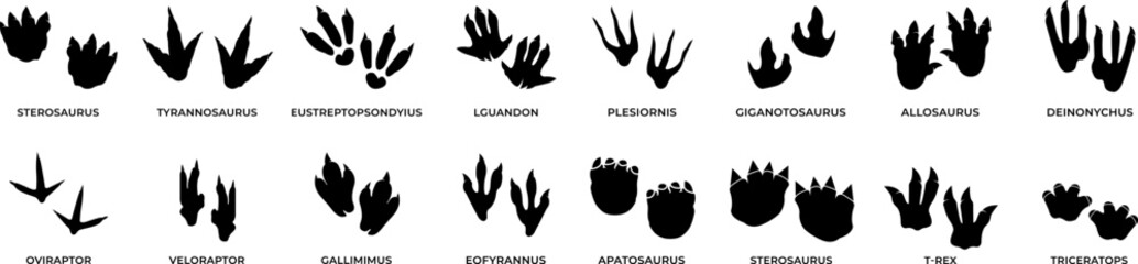 Set of Prehistoric Animal Footprint Vector Illustrations | Fossil Track Silhouettes & Dinosaur Trail Shapes

