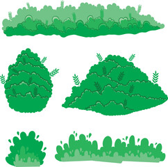 Green Bush Collection Various Shapes and Styles