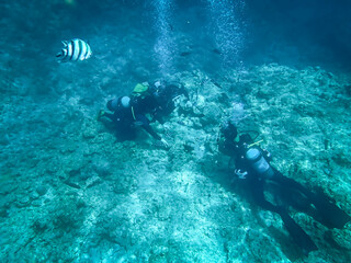 沖縄の海でスキューバを楽しむ人
