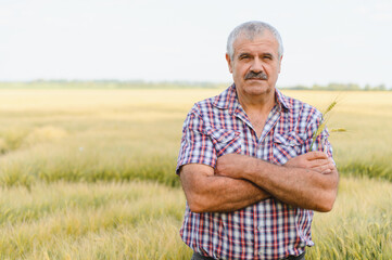 Senior farmer standing with crossed arms in wheat field