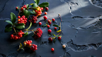 Bright red and pink autumn berries with green leaves scattered on the left side of a black cement background, right side left empty for text, top view, vibrant seasonal postcard