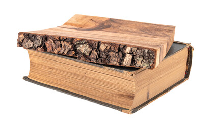 Aged book under a rustic wooden block creates a still life with vintage and organic elements, evocative of natural materials and history.