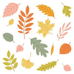 Autumn Leaves Vector Set in Flat Style