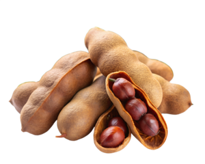 chestnut  isolated on white background. PNG Transparent file type with high definition quality And vibrant color grading Available.