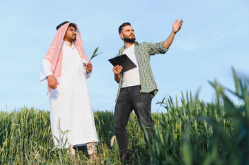 Agronomist showing growth of wheat crop to investor in green field