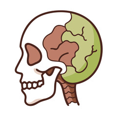 Stylized human skull and brain illustration in profile view