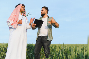 Arab businessman and farmer discussing in wheat field
