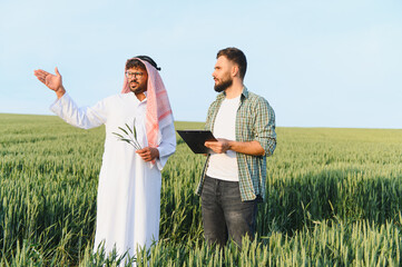 Arab businessman and farmer discussing in wheat field