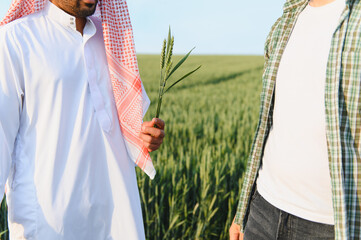 Arab farmer holding wheat stalk with business partner in field